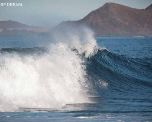 surfing fuerteventura