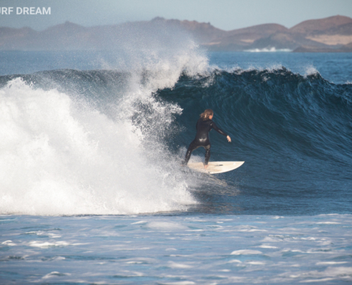 surfing fuerteventura