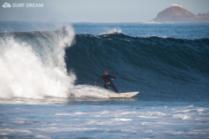 surfing fuerteventura
