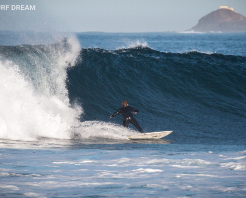 surfing fuerteventura