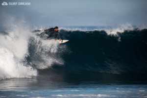 surfing fuerteventura