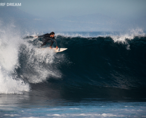 surfing fuerteventura