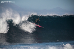 surf kemp fuerteventura