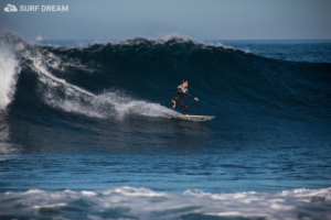 surfing fuerteventura
