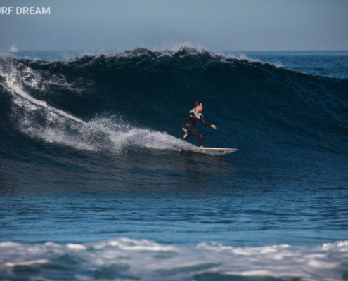 surfing fuerteventura