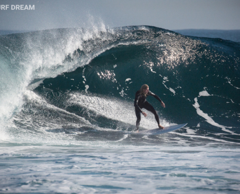 surfing fuerteventura