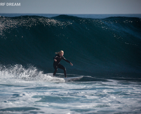 surfing fuerteventura