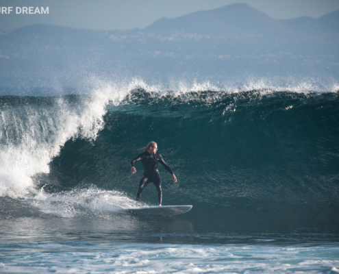 surfing fuerteventura