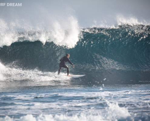 surfing fuerteventura