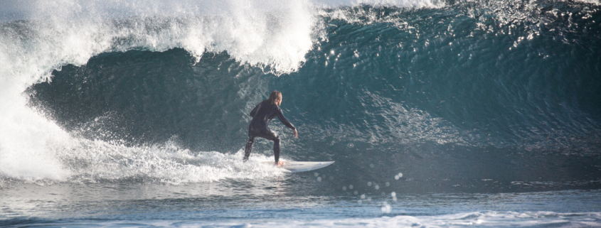 surf kemp fuerteventura