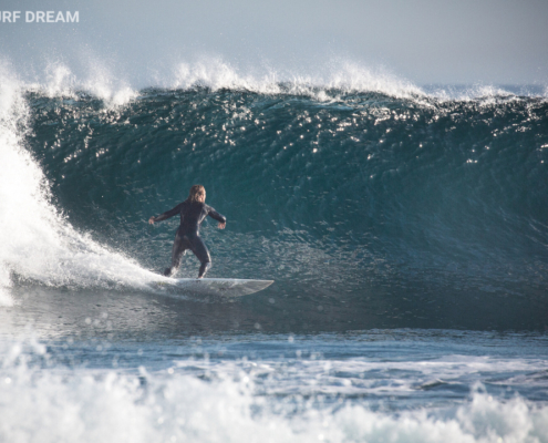 surfing fuerteventura