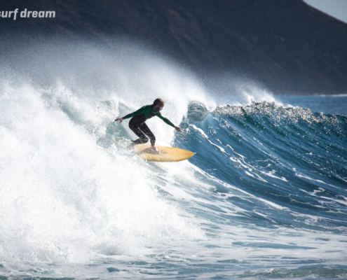 surfing fuerteventura