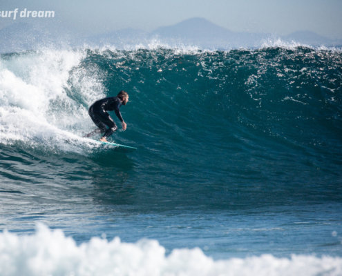 surfing fuerteventura