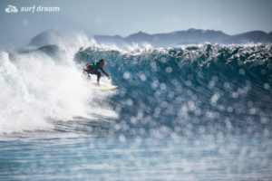 surfing fuerteventura