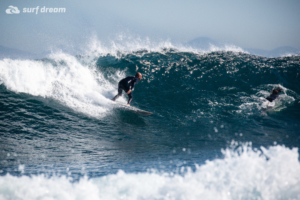 surfing fuerteventura