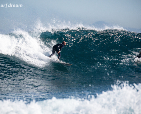 surfing fuerteventura