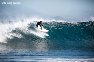 surfing fuerteventura