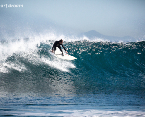 surfing fuerteventura