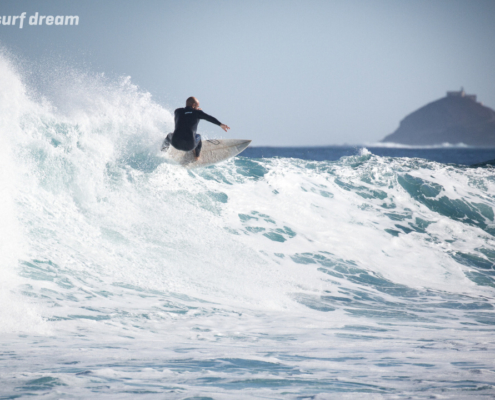 surfing fuerteventura