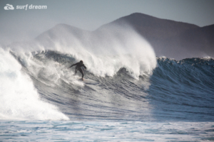 surf fuerteventura