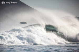 surfing fuerteventura