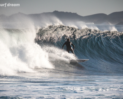 surfing fuerteventura