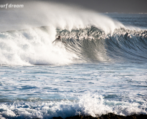 surfing fuerteventura