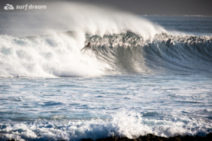 surf fuerteventura