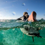 surf Fuerteventura