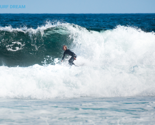 surfing fuerteventura