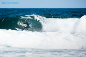 surfing fuerteventura