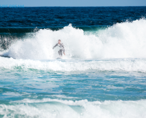 surfing fuerteventura