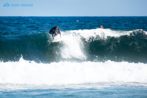 surfing fuerteventura