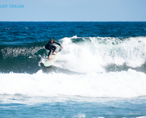 surfing fuerteventura