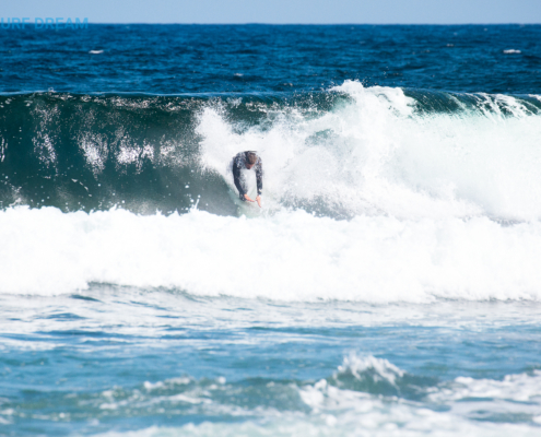 surf fuerteventura