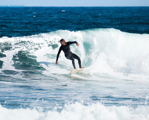 surfing fuerteventura