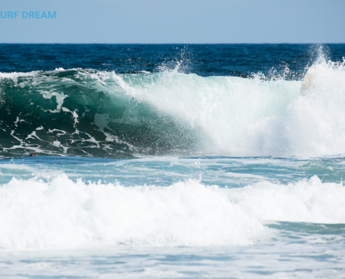 surfing fuerteventura