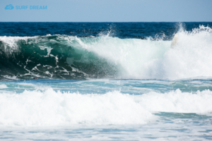 surf fuerteventura