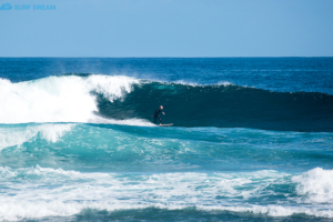 surf Fuerteventura