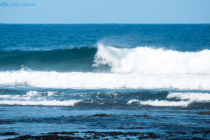 surf Fuerteventura