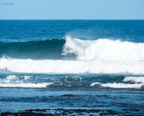 surf Fuerteventura