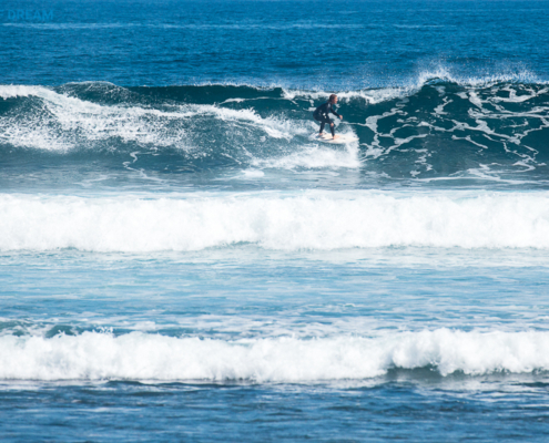 surf Fuerteventura