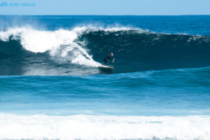 surf Fuerteventura