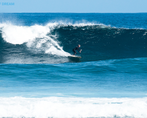 surf Fuerteventura