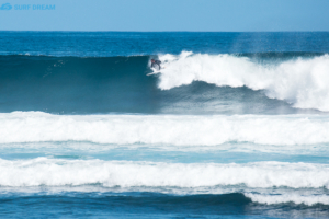 surf Fuerteventura