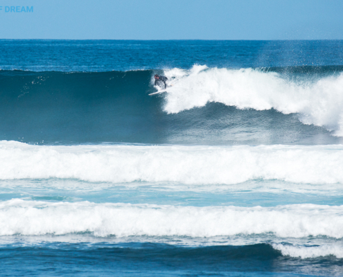 surf Fuerteventura