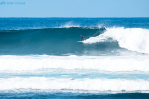 surf Fuerteventura