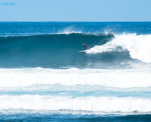 surf Fuerteventura