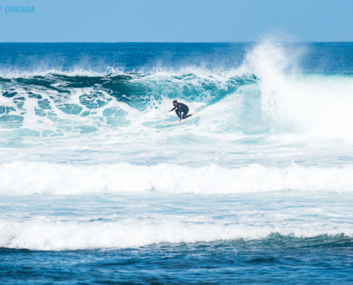 surf Fuerteventura