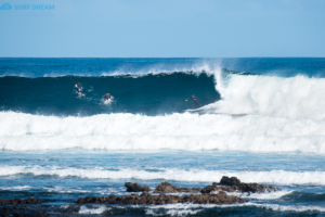 surf Fuerteventura